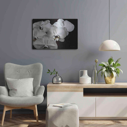 Luxe Metal Art 'White Orchid II' by Elise Catterall, Metal Wall Art,24x16