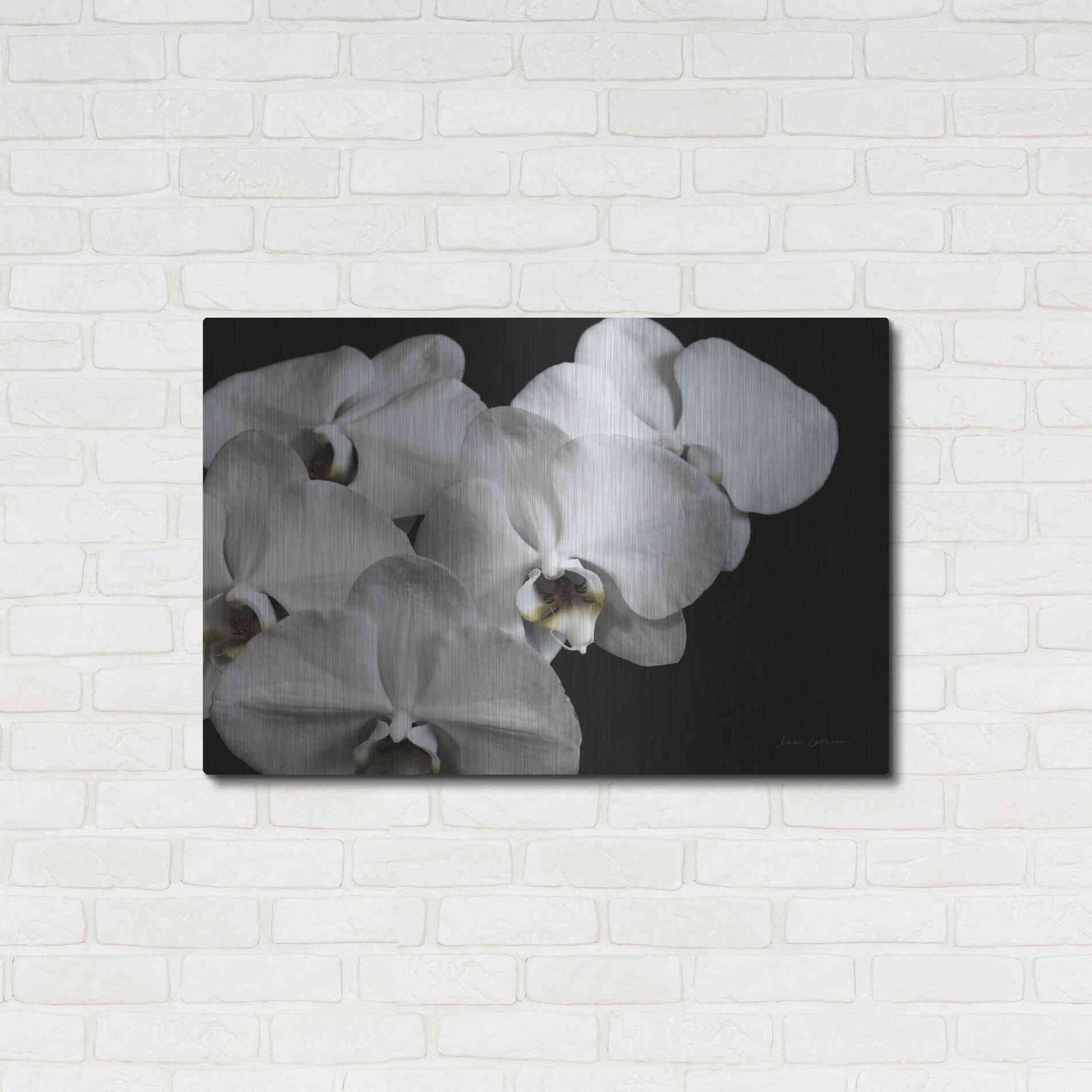 Luxe Metal Art 'White Orchid II' by Elise Catterall, Metal Wall Art,36x24