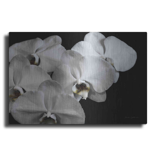 Luxe Metal Art 'White Orchid II' by Elise Catterall, Metal Wall Art