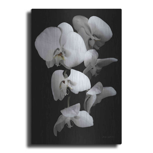 Luxe Metal Art 'White Orchid III' by Elise Catterall, Metal Wall Art