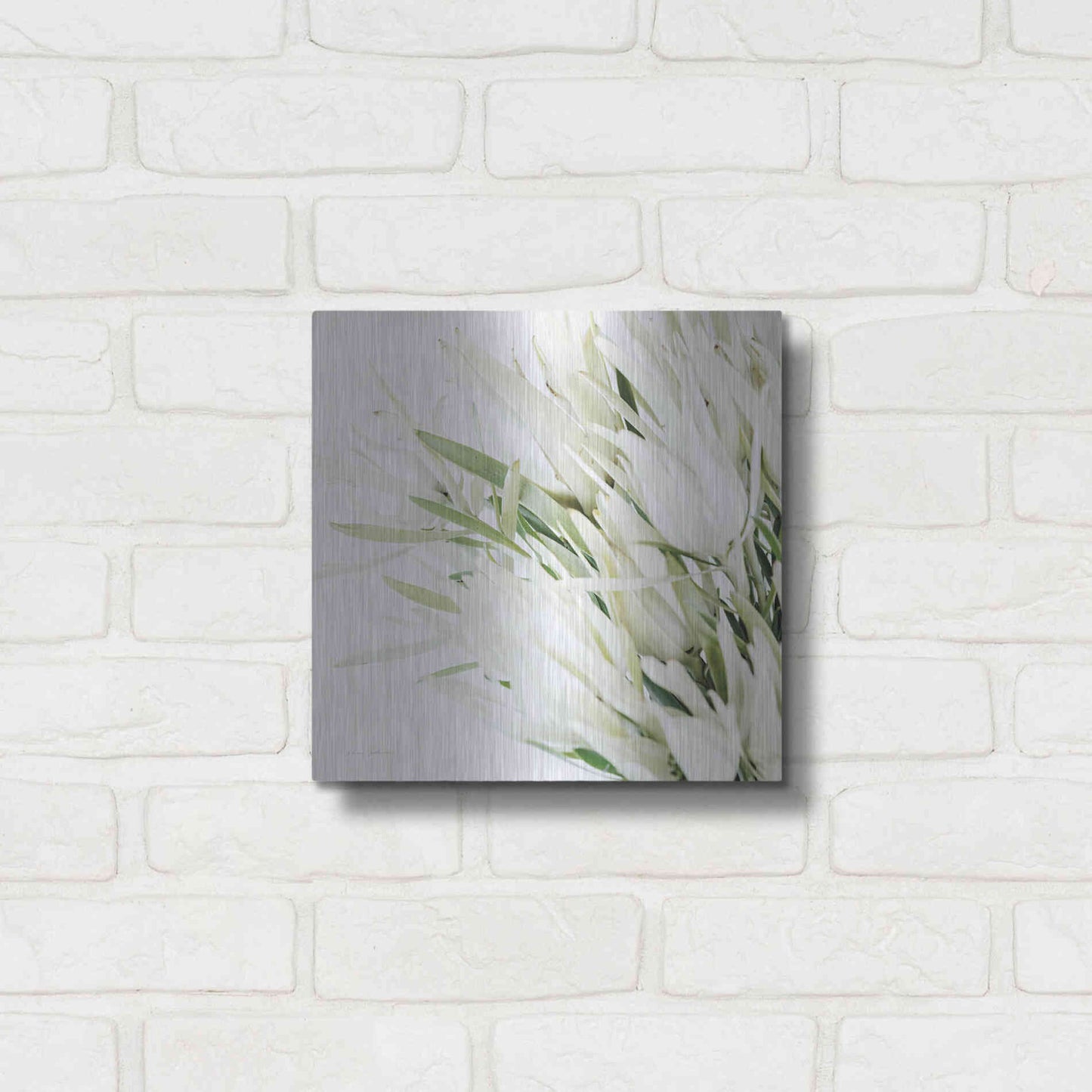 Luxe Metal Art 'Leucadendron Oasis Crop' by Elise Catterall, Metal Wall Art,12x12