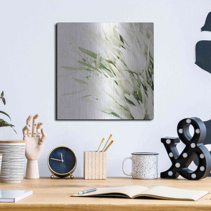 Luxe Metal Art 'Leucadendron Oasis Crop' by Elise Catterall, Metal Wall Art,12x12