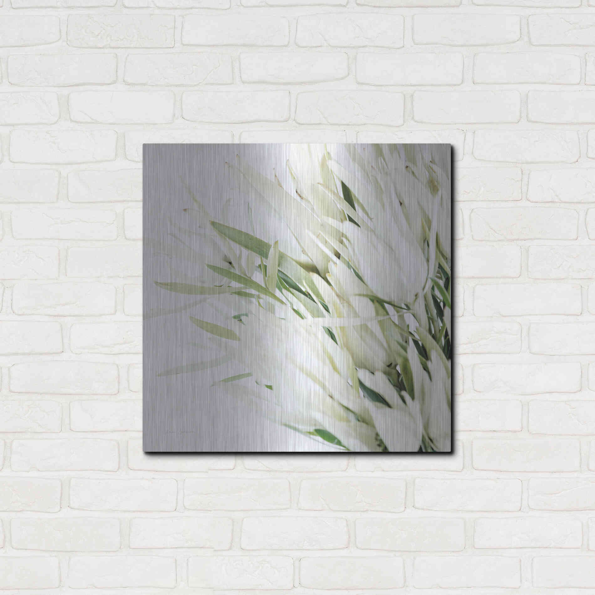 Luxe Metal Art 'Leucadendron Oasis Crop' by Elise Catterall, Metal Wall Art,24x24