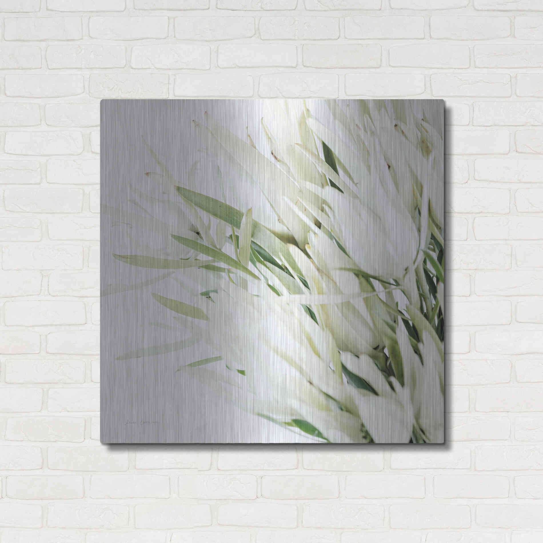 Luxe Metal Art 'Leucadendron Oasis Crop' by Elise Catterall, Metal Wall Art,36x36