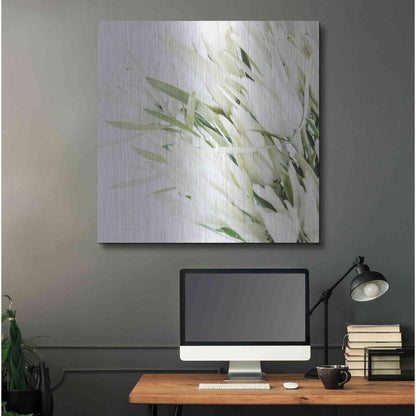 Luxe Metal Art 'Leucadendron Oasis Crop' by Elise Catterall, Metal Wall Art,36x36