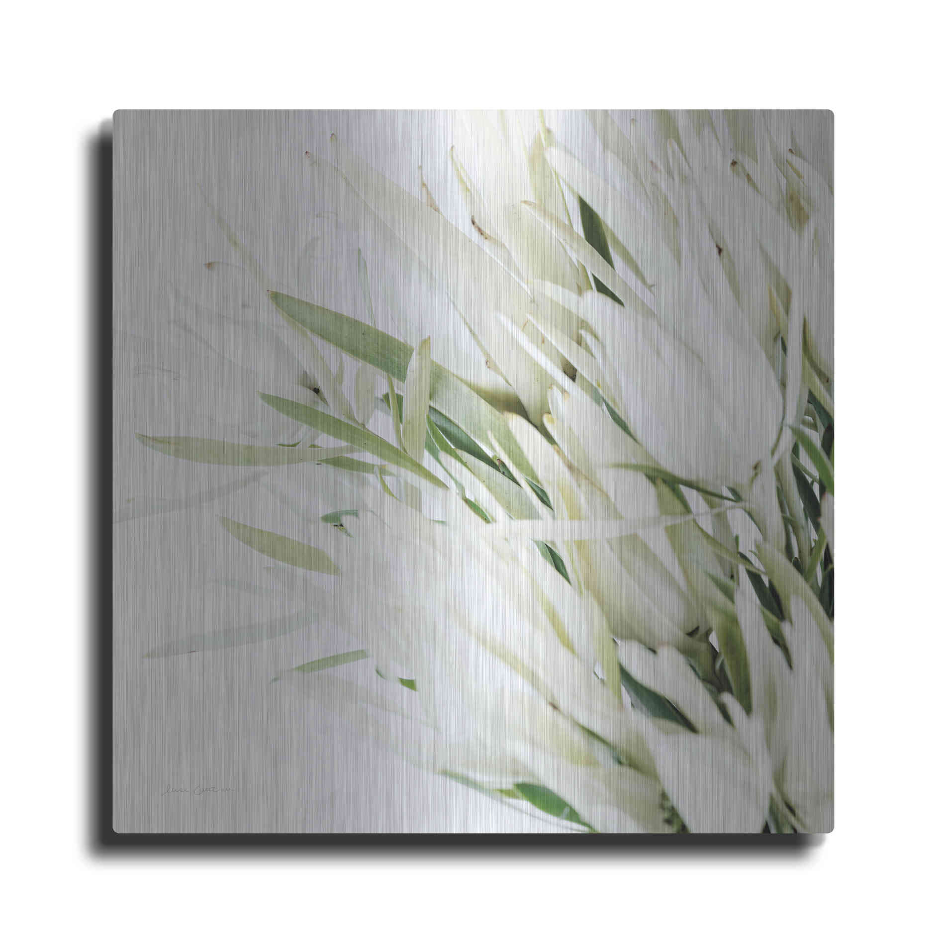 Luxe Metal Art 'Leucadendron Oasis Crop' by Elise Catterall, Metal Wall Art