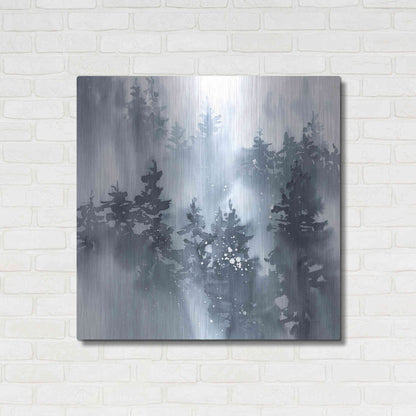 Luxe Metal Art 'Misty Forest I' by Katrina Pete, Metal Wall Art,36x36