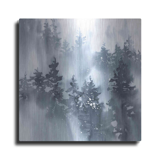 Luxe Metal Art 'Misty Forest I' by Katrina Pete, Metal Wall Art