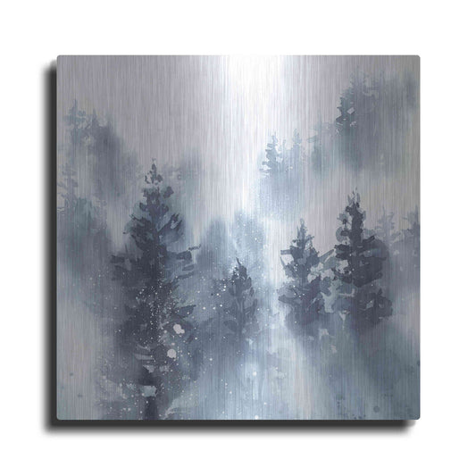 Luxe Metal Art 'Misty Forest II' by Katrina Pete, Metal Wall Art