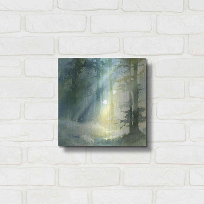 Luxe Metal Art 'Shady Grove' by Katrina Pete, Metal Wall Art,12x12