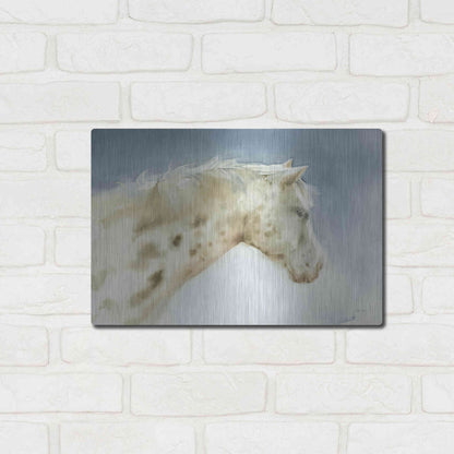 Luxe Metal Art 'Dapple Gray Horse' by Katrina Pete, Metal Wall Art,16x12