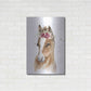 Luxe Metal Art 'Floral Pony' by Katrina Pete, Metal Wall Art,24x36