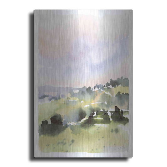 Luxe Metal Art 'Spring Hills II' by Katrina Pete, Metal Wall Art