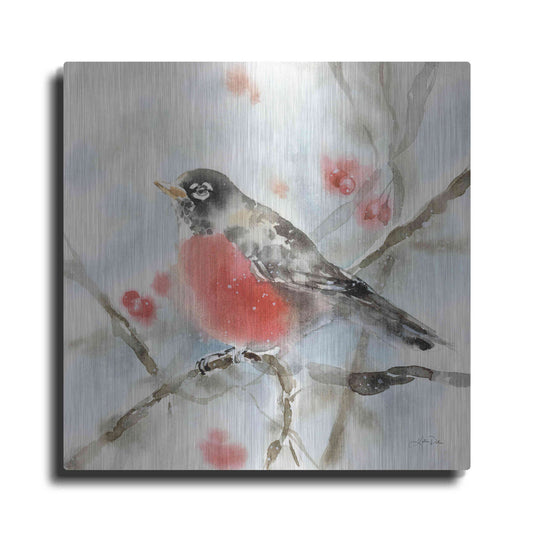 Luxe Metal Art 'Winter Robin' by Katrina Pete, Metal Wall Art