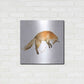 Luxe Metal Art 'Jumping Fox' by Katrina Pete, Metal Wall Art,24x24