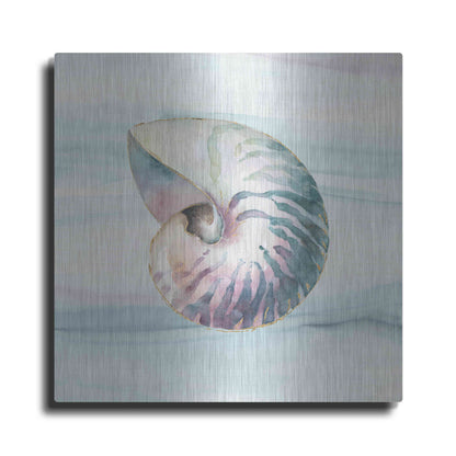 Luxe Metal Art 'Ocean Dream V' by Lisa Audit, Metal Wall Art,