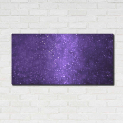 Luxe Metal Art 'Grape Soda' by Unknown Artist, Metal Wall Art,48x24