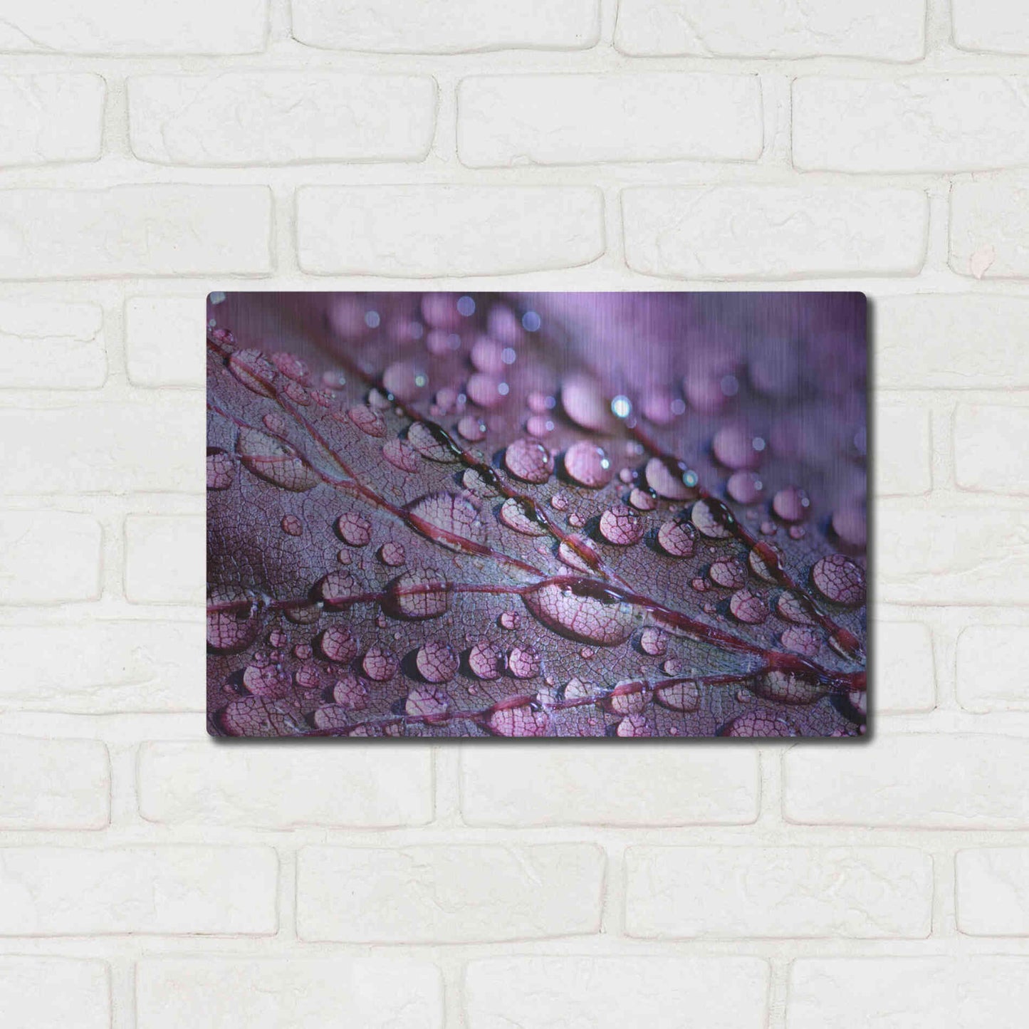 Luxe Metal Art 'Dewdrops' by Unknown Artist, Metal Wall Art,16x12