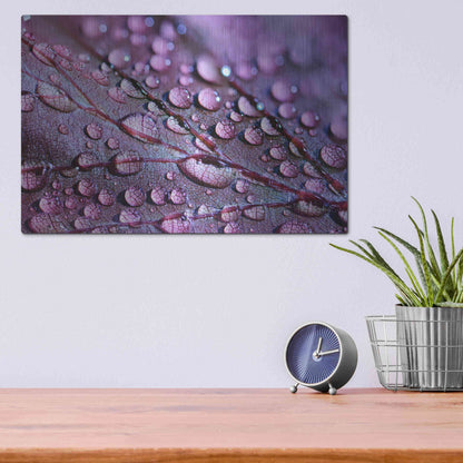 Luxe Metal Art 'Dewdrops' by Unknown Artist, Metal Wall Art,16x12