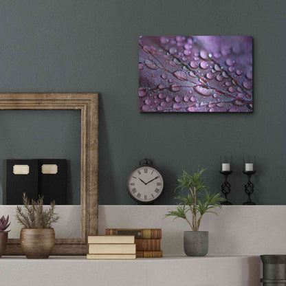 Luxe Metal Art 'Dewdrops' by Unknown Artist, Metal Wall Art,16x12