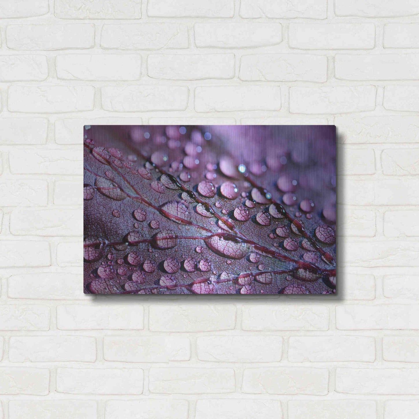 Luxe Metal Art 'Dewdrops' by Unknown Artist, Metal Wall Art,24x16