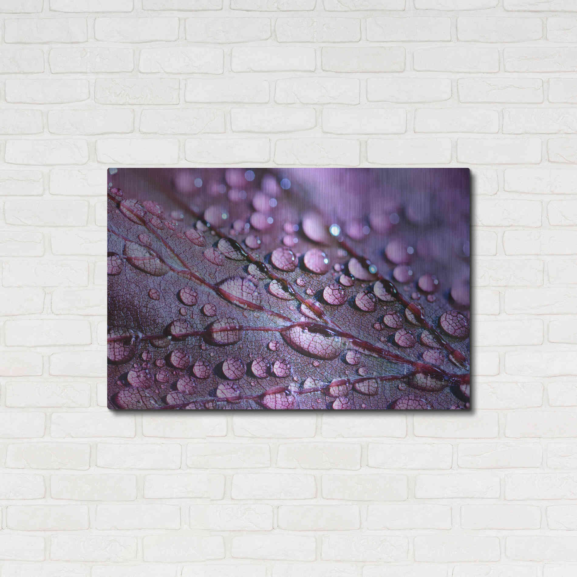 Luxe Metal Art 'Dewdrops' by Unknown Artist, Metal Wall Art,36x24