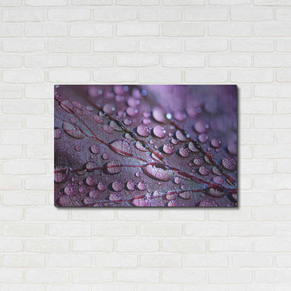 Luxe Metal Art 'Dewdrops' by Unknown Artist, Metal Wall Art,36x24