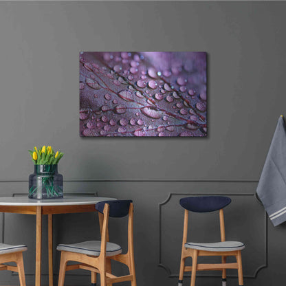 Luxe Metal Art 'Dewdrops' by Unknown Artist, Metal Wall Art,36x24