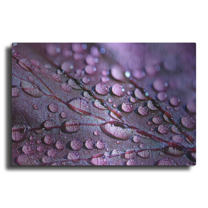 Luxe Metal Art 'Dewdrops' by Unknown Artist, Metal Wall Art