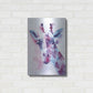 Luxe Metal Art 'Sweet Pea' by Alan Majchrowicz, Metal Wall Art,16x24