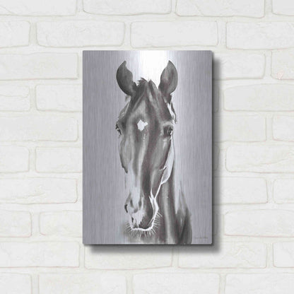 Luxe Metal Art 'Le Cheval Noir' by Alan Majchrowicz, Metal Wall Art,12x16