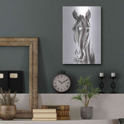 Luxe Metal Art 'Le Cheval Noir' by Alan Majchrowicz, Metal Wall Art,12x16