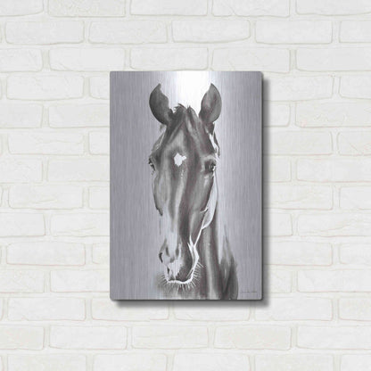 Luxe Metal Art 'Le Cheval Noir' by Alan Majchrowicz, Metal Wall Art,16x24