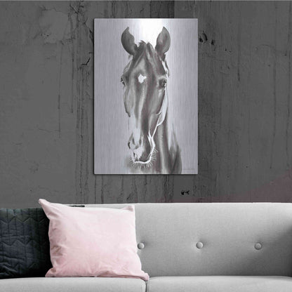 Luxe Metal Art 'Le Cheval Noir' by Alan Majchrowicz, Metal Wall Art,24x36