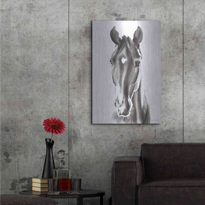 Luxe Metal Art 'Le Cheval Noir' by Alan Majchrowicz, Metal Wall Art,24x36