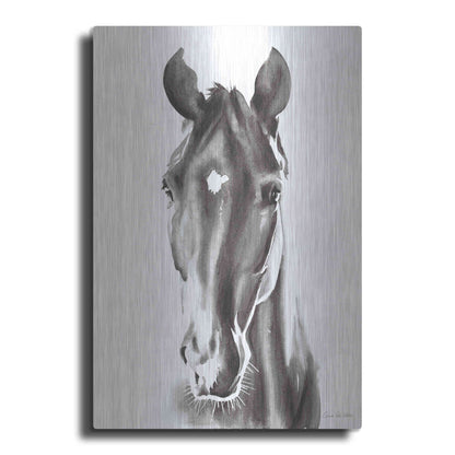 Luxe Metal Art 'Le Cheval Noir' by Alan Majchrowicz, Metal Wall Art