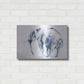 Luxe Metal Art 'Lone Elephant Blue Gray' by Alan Majchrowicz, Metal Wall Art,24x16