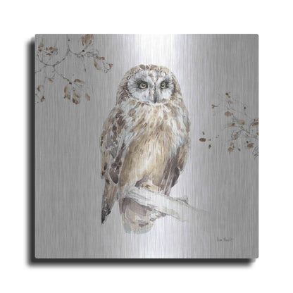 Luxe Metal Art 'Wood Land Walk VIII' by Lisa Audit, Metal Wall Art,