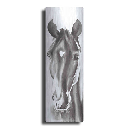 Luxe Metal Art 'Le Cheval Noir Horse Panel' by Alan Majchrowicz, Metal Wall Art