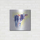 Luxe Metal Art 'Holstein I' by Alan Majchrowicz, Metal Wall Art,24x24