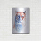 Luxe Metal Art 'Copper And Blue Lioness' by Alan Majchrowicz, Metal Wall Art,24x36