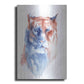 Luxe Metal Art 'Copper And Blue Lioness' by Alan Majchrowicz, Metal Wall Art