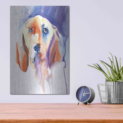 Luxe Metal Art 'Basset Hound' by Alan Majchrowicz, Metal Wall Art,12x16