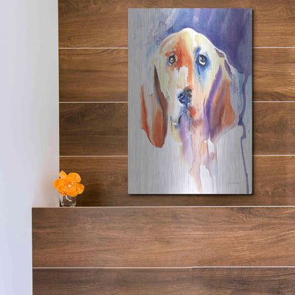 Luxe Metal Art 'Basset Hound' by Alan Majchrowicz, Metal Wall Art,12x16