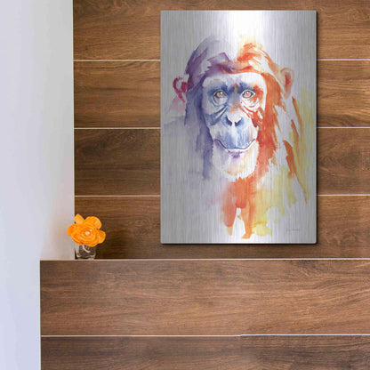 Luxe Metal Art 'Chimpanzee II' by Alan Majchrowicz, Metal Wall Art,12x16