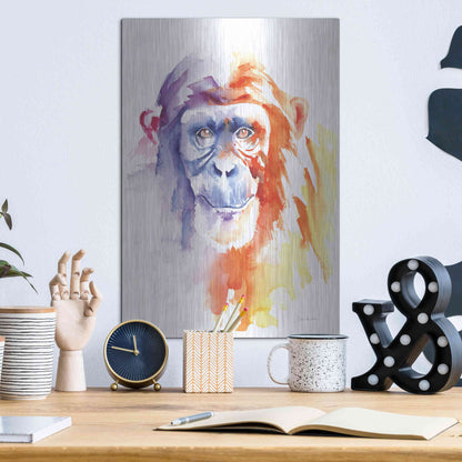 Luxe Metal Art 'Chimpanzee II' by Alan Majchrowicz, Metal Wall Art,12x16