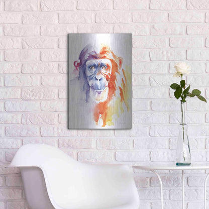 Luxe Metal Art 'Chimpanzee II' by Alan Majchrowicz, Metal Wall Art,16x24