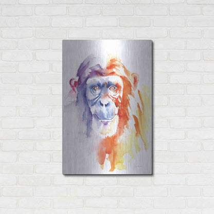 Luxe Metal Art 'Chimpanzee II' by Alan Majchrowicz, Metal Wall Art,24x36