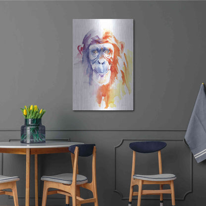 Luxe Metal Art 'Chimpanzee II' by Alan Majchrowicz, Metal Wall Art,24x36