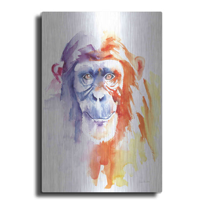 Luxe Metal Art 'Chimpanzee II' by Alan Majchrowicz, Metal Wall Art